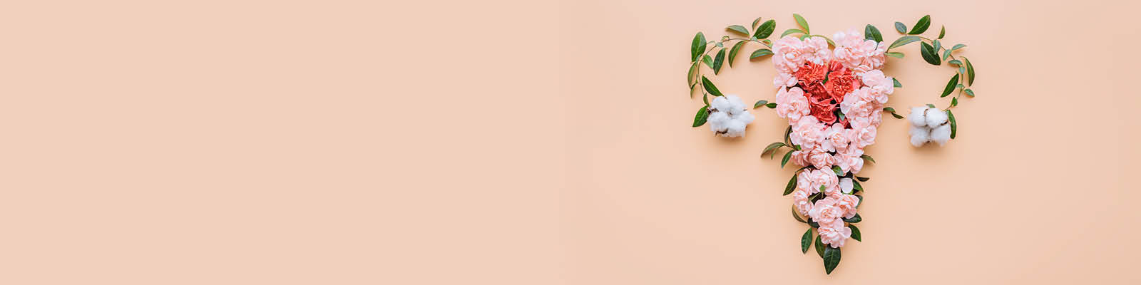 Navigating_Endometriosis_When_Trying_To_Conceive