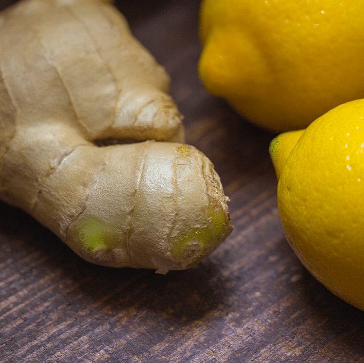 Ginger Extract - AOR-2