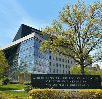 Research Collaborations - Albert Einstein Medical - AOR