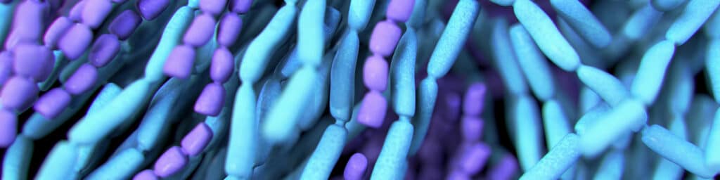 Postbiotics-versus-Probiotics