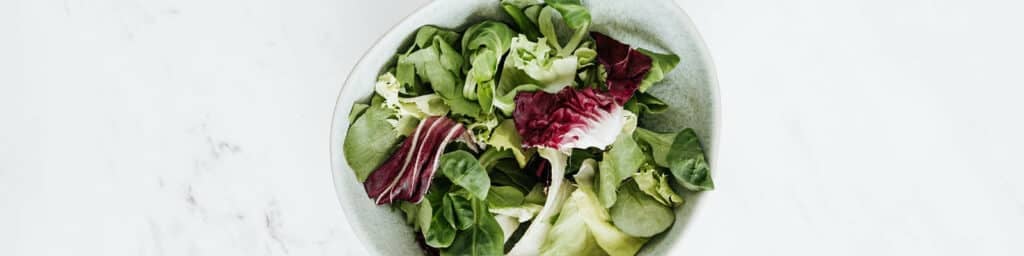 Plant_Based_Diets_and_Immunity
